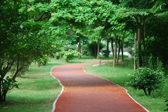 Jogging Tracks